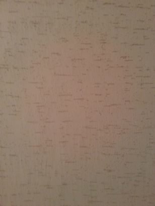Embossed diatom ooze wall paint